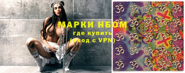 прущие грибы Алзамай