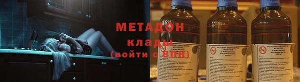 прущие грибы Алзамай
